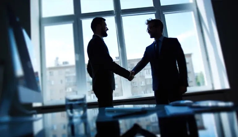 Corporate Due Diligence Investigation