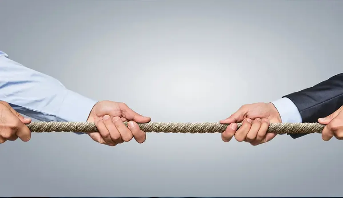 Competitor Investigation